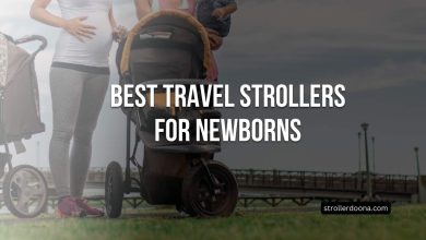 Best Travel Strollers For Newborns
